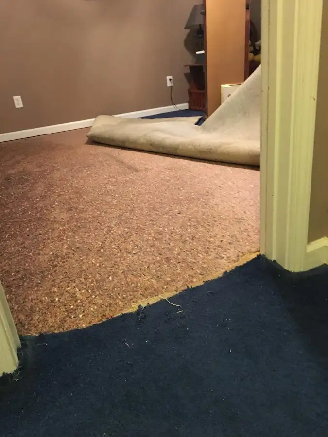 Carpet pad removal revealing water damage during Drying & Dehumidification in Shillington