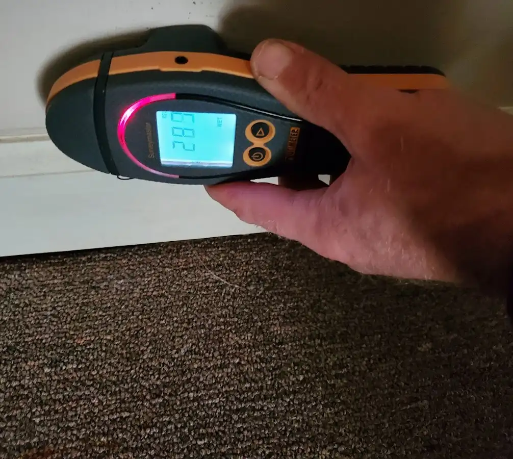 Moisture detection at baseboard during Sewage Cleanup & Sanitation in Shillington